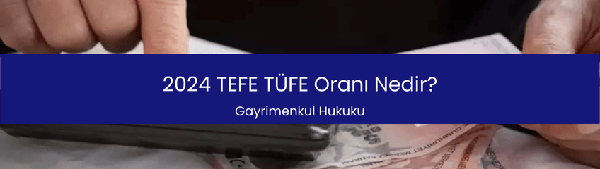 2024 TEFE TÜFE Oranı Nedir?